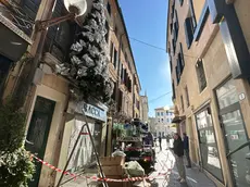 L'albero di Natale di Racca