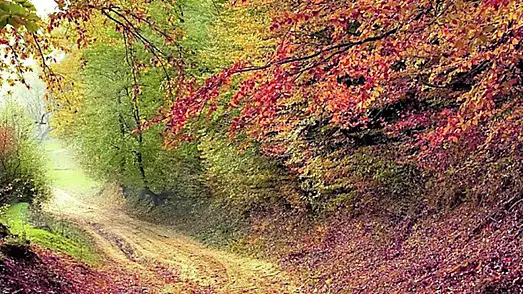 La magia del foliage sui Colli Euganei