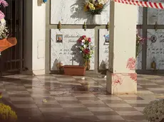 Il luogo dell'accoltellamento e il sangue della vittima (foto Pietro Cesaro)