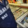 Il blitz dei carabinieri del Nas