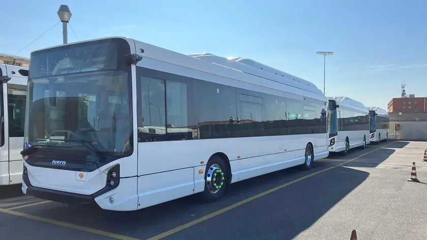 Papà prende a schiaffi l'autista del bus a Valsanzibio