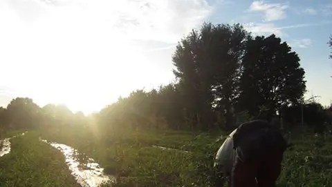 Il Bosco Limite di Carmignano di Brenta