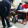 Un intervento dei carabinieri in una scuola
