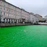 Il canale Ponterosso colorato di verde (Silvano)
