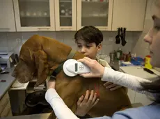Un cane dal veterinario