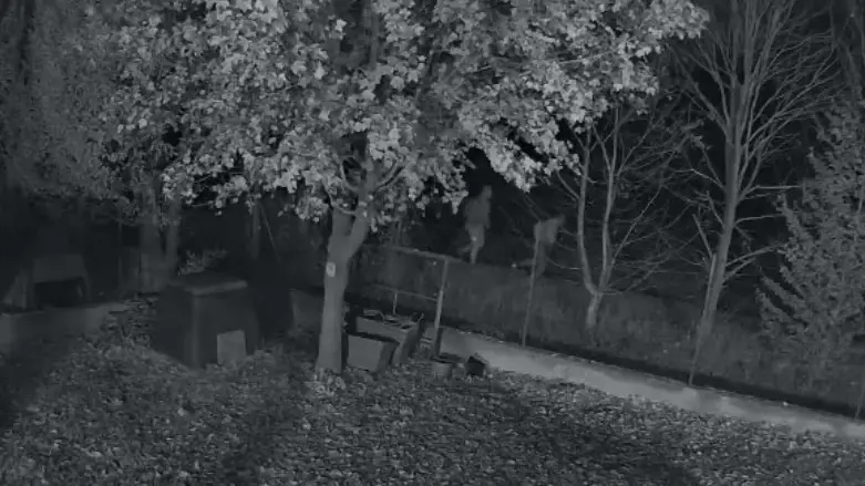 I ladri ripresi dalle telecamere della videosorveglianza