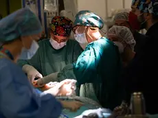 Ospedale di Padova: l'insoddisfazione del personale sanitario