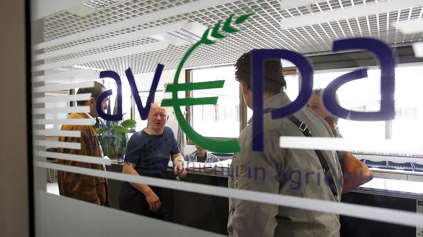 Truffe sui fondi europei nel Padovano