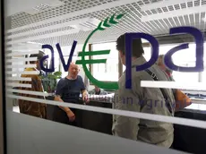 Truffe sui fondi europei nel Padovano