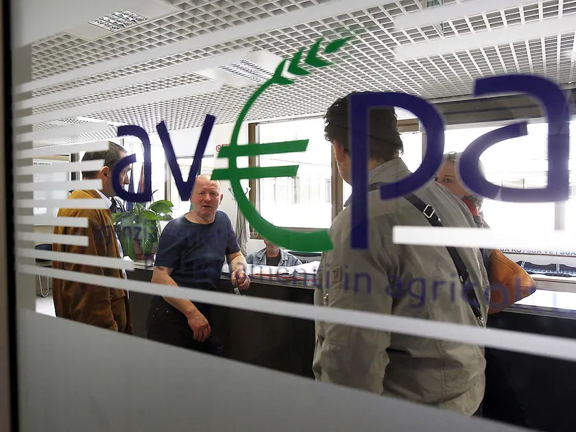 Truffe sui fondi europei nel Padovano