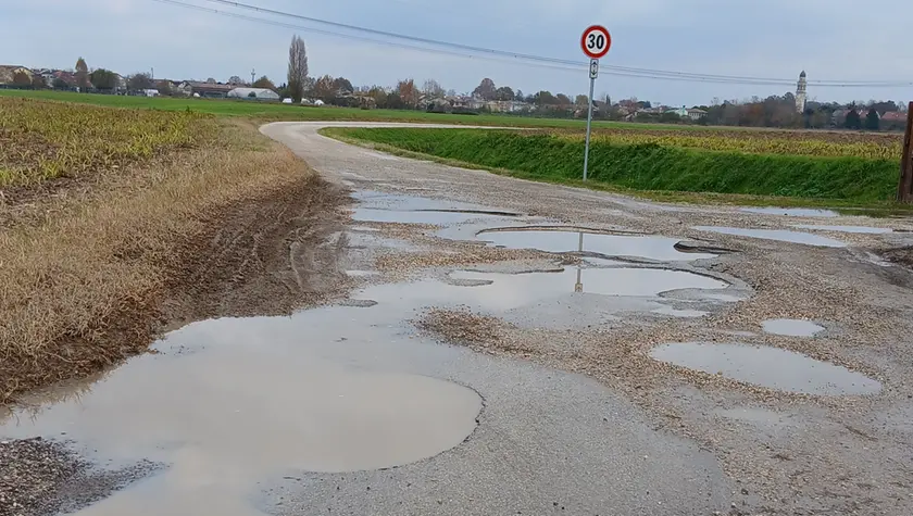 Le buche sulla strada