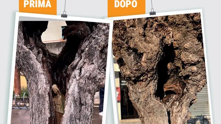 La Madonna distrutta a Fontaniva