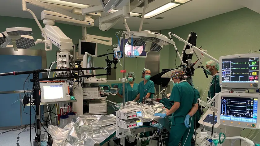 L'Orl di Vittorio Veneto prima in Italia per il trattamento dei tumori alla laringe