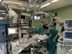 L'Orl di Vittorio Veneto prima in Italia per il trattamento dei tumori alla laringe