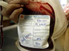 Una sacca di sangue per una trasfusione