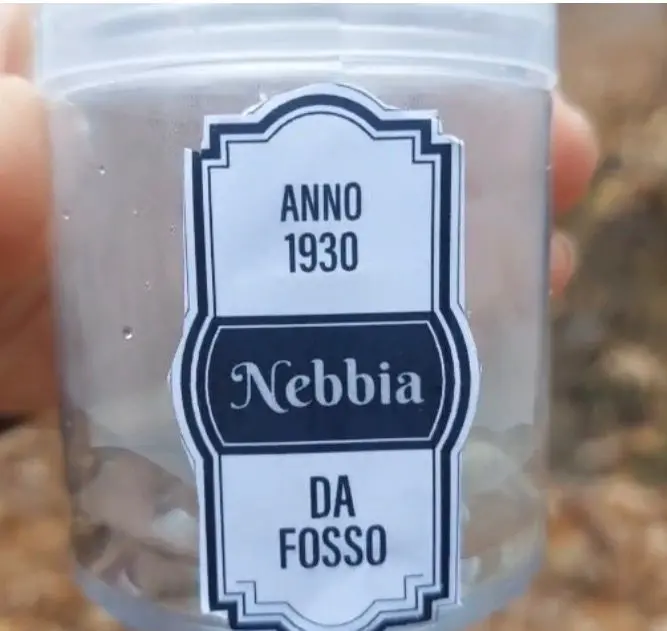 Il vasetto di nebbia