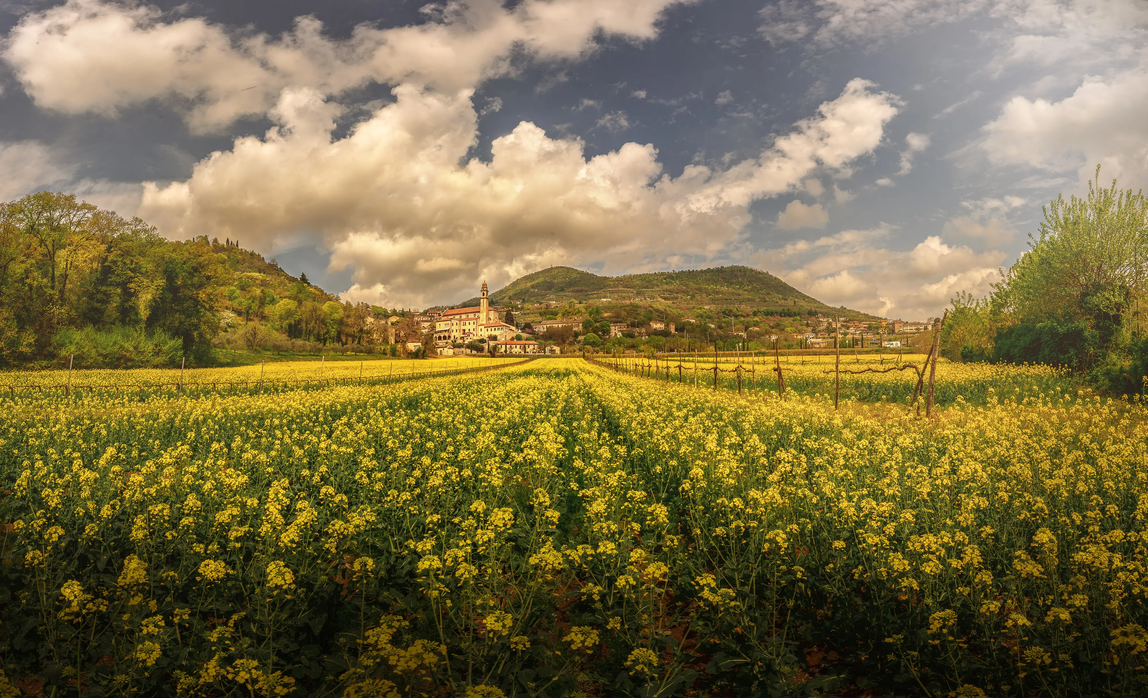 Dodici scatti, uno per ciascun mese, selezionati tra gli oltre 2700 che hanno partecipato al concorso indetto dal nostro giornale con Nord Est Multimedia e la Regione Veneto. Ecco come è andata: il calendario sarà in omaggio gratuito con il mattino di Padova solo martedì 23 dicembre