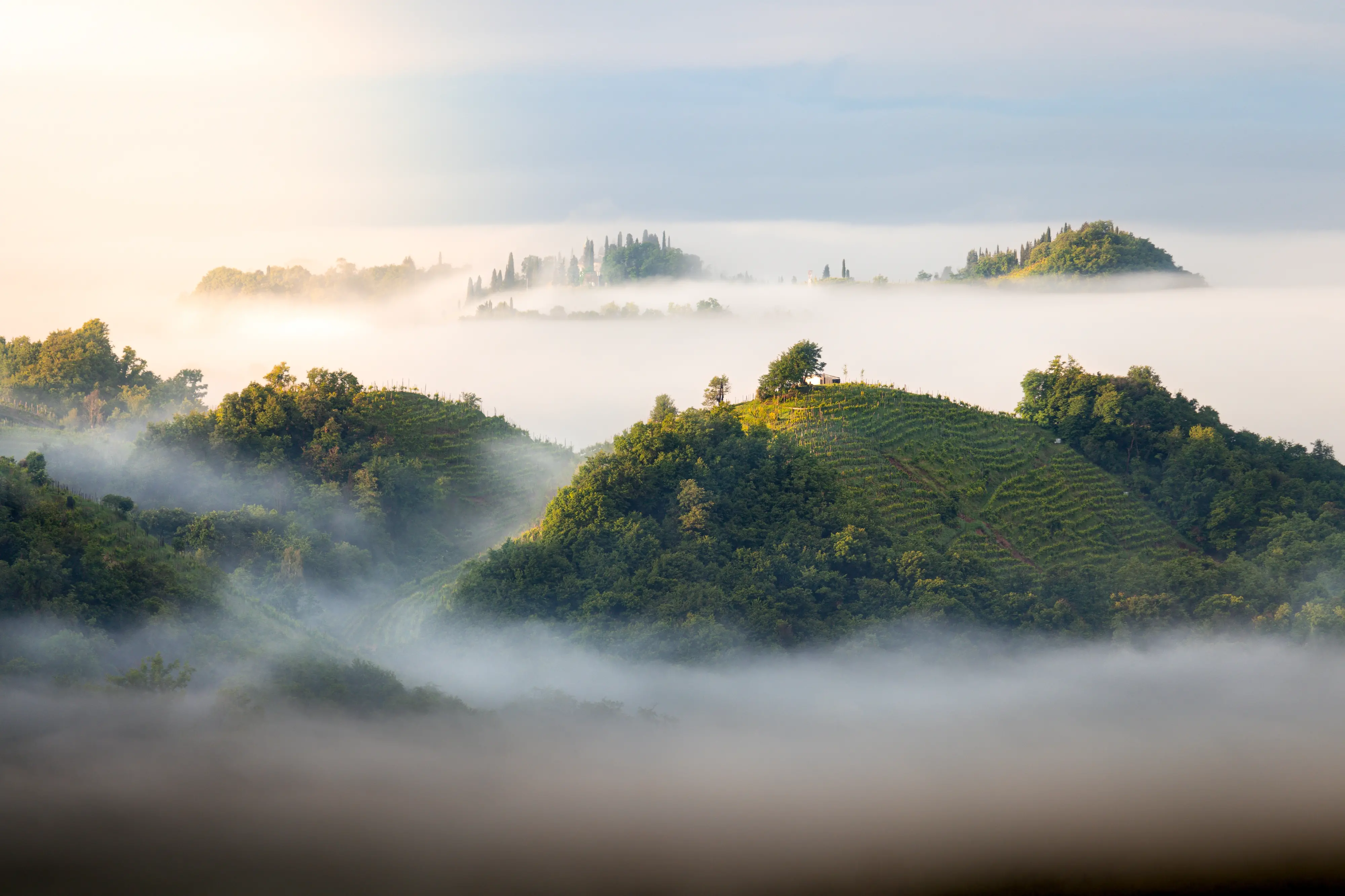Dodici scatti, uno per ciascun mese, selezionati tra gli oltre 2700 che hanno partecipato al concorso indetto dal nostro giornale con Nord Est Multimedia e la Regione Veneto. Ecco come è andata: il calendario sarà in omaggio gratuito con il mattino di Padova solo martedì 23 dicembre
