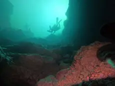 La magia della sorgente del Gorgazzo: uno speleosub si immerge nelle sue acque cristalline