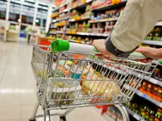 La spesa per i beni primari continua ad incidere significativamente sul bilancio delle famiglie