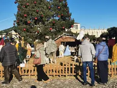 L'amara scoperta il 26 mattina: rubata la statua di Gesù bambino