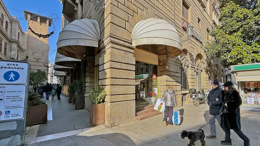 Il Milk bar di Padova