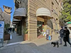 Il Milk bar di Padova