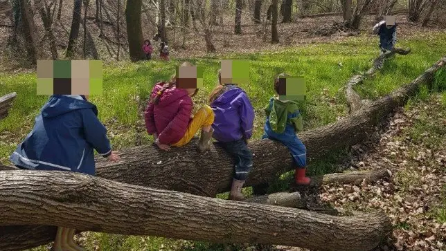 La scuola nel bosco di Monfumo chiusa dai carabinieri