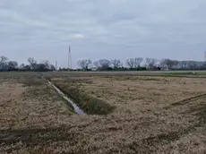 Qui è stato trovato il corpo del barman ucciso con un colpo di pistola alla tempia