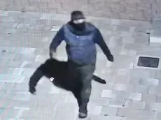 Le telecamere di videosorveglianza hanno ripreso la fuga dei ladri