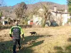 Le ricerche della 22enne con i cani molecolari