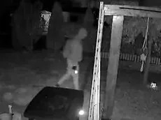 Uno dei ladri ripreso dalla videocamera di un’abitazione