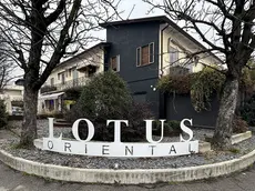 Il Lotus Oriental