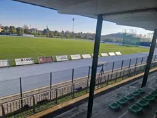 Insulti razzisti in campo