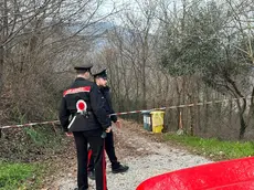 Il luogo del ritrovamento. Foto Piran