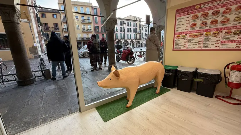 Il maiale simbolo di “Mortadella e non solo” esposto in vetrina nel negozio di piazza dei Signori