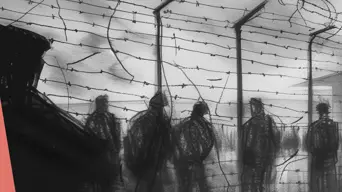 L'immagine di copertina del volume