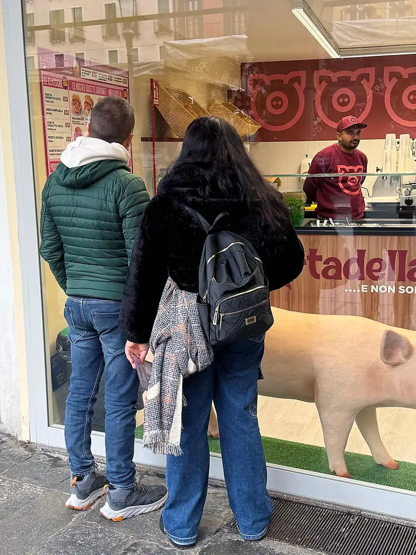 Il maiale in plastica esposto in vetrina fa discutere la città