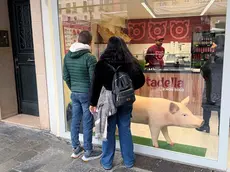 Il maiale in plastica esposto in vetrina fa discutere la città