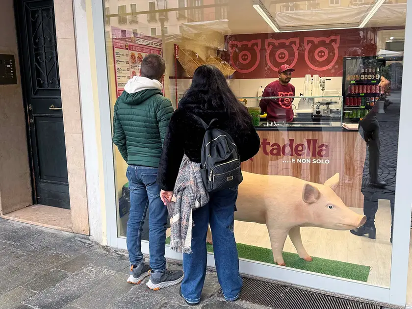 Il maiale in plastica esposto in vetrina fa discutere la città