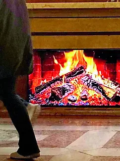 Il finto caminetto del Pedrocchi è stato rimosso