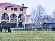 Una panoramica del luogo, con le case affacciate sul prato che ospita gli animali