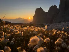 L’alba scioglie la notte: le cime respirano luce ed il cielo sussurra il nuovo giorno. Agosto 2024.Rifugio Mulaz - Falcade, Silvia Giacometti