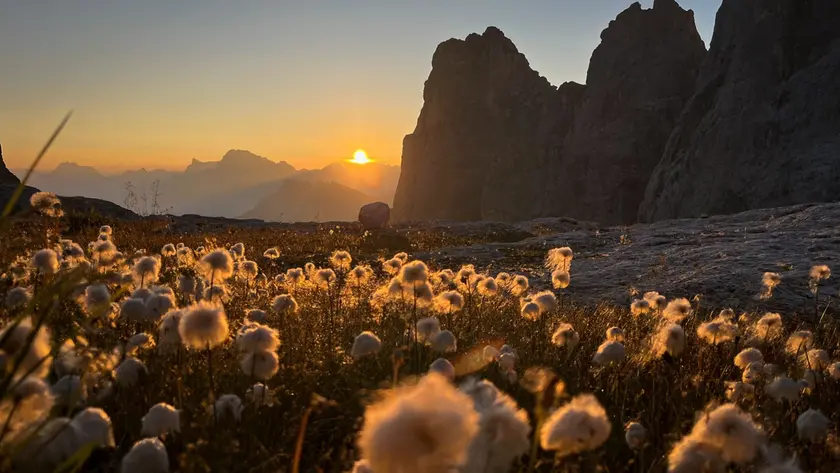 L’alba scioglie la notte: le cime respirano luce ed il cielo sussurra il nuovo giorno. Agosto 2024.Rifugio Mulaz - Falcade, Silvia Giacometti