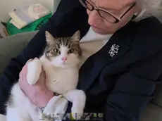 Laura Minici Zotti con il gatto Silvio