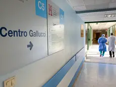 Tensioni al Centro Gallucci per il successore di Gerosa