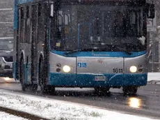 Invito alla cerimonia delle Olimpiadi di Cortina per il bimbo lasciato a piedi dal bus sotto la neve