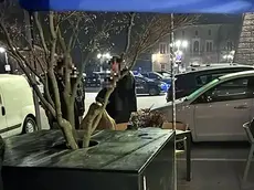 Una pattuglia dei carabinieri della compagnia di Cittadella