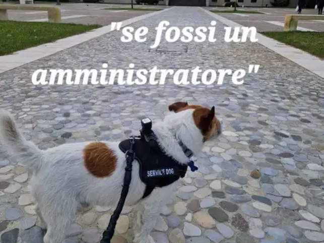 Il cane Thor