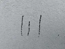 I segni sospetti apparsi su muretti e pali di Abano Terme